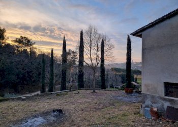 Foto 4 - Casa indipendente Torgiano - foto 4