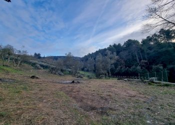 Foto 7 - Casa indipendente Torgiano - foto 7