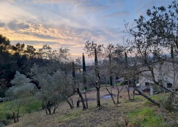 Foto 8 - Casa indipendente Torgiano - foto 8