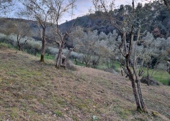 Foto 19 - Casa indipendente Torgiano - foto 19