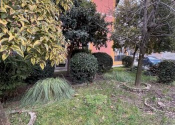 Giardino - Quadrilocale via Friuli Venezia Giulia, 4, Bologna (zona Mazzini) - foto 26