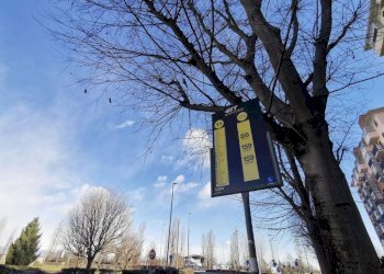 Zona - Appartamento via Giuseppe Di Vittorio, 37/2, Venaria Reale - foto 5