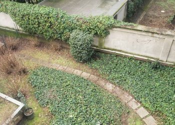 Giardino - Trilocale via Giosuè Carducci, Gallarate - foto 9