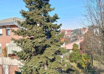 Vista - Quadrilocale via Michelangelo Pittatore, Asti - foto 11