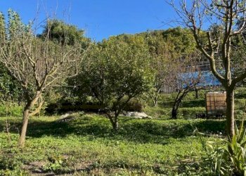 Terreno - Quadrilocale strada Comunale del Cartman, 59, Torino (zona Madonna del Pilone) - foto 30