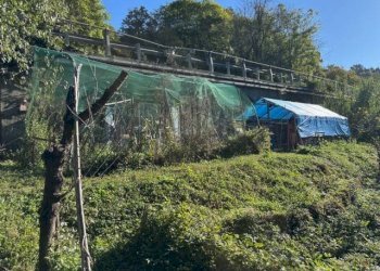 Terreno - Quadrilocale strada Comunale del Cartman, 59, Torino (zona Madonna del Pilone) - foto 32