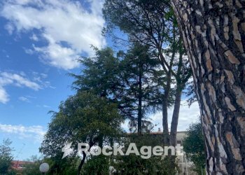 Zona - Villa via G. Donizetti, 31, Zagarolo - foto 22