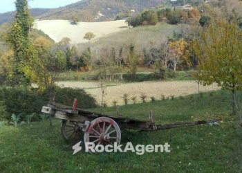 Terreno - Rustico Frazione Costa, 123, Arcevia - foto 14