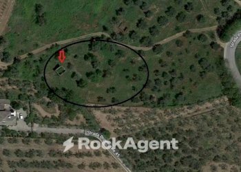 Rustico SP 45, Moscufo - foto 3