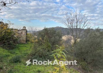 Rustico SP 45, Moscufo - foto 16