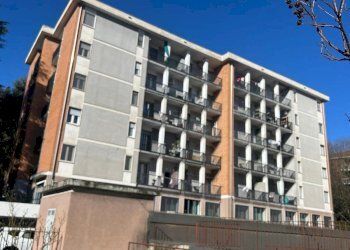 Trilocale Ivrea - foto 1