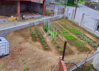 Rustico Via Sobrero, Gassino Torinese - foto 6