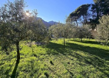 Villa Barga - foto 9