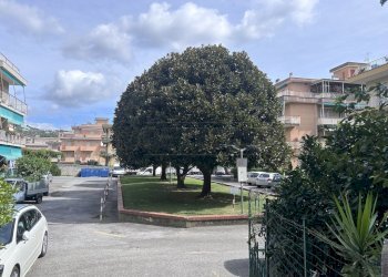 IMG_2135.JPG - Appartamento Via Milano, Pietra Ligure - foto 26