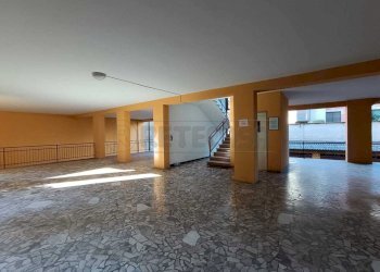 WhatsApp Image 2026-02-20 at 15.45.57.jpeg - Trilocale Via Dante, Cremona - foto 3