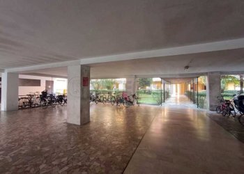 WhatsApp Image 2025-10-13 at 16.33.31 (3).jpeg - Trilocale Via Dante, Cremona - foto 4