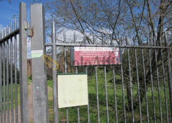 IMG_3588.JPG - Appartamento Via Quinzio Flaminino 32, Roma - foto 10