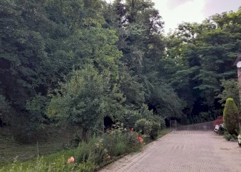 20230621_175100.jpg - Villa a Schiera Via T. Rogate 6, Salsomaggiore Terme - foto 5