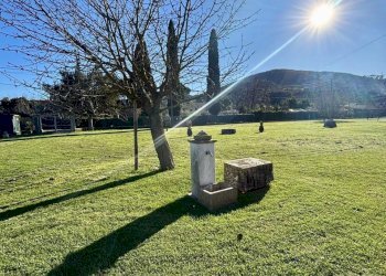 WhatsApp Image 2026-02-17 at 18.17.33(5).jpeg - Villa Ameglia - foto 29