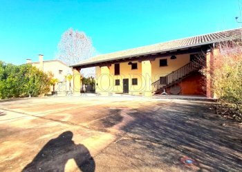 IMG-20260213-WA0006.jpg - Ristorante Via Riccardo Riporti 8, Piazzola sul Brenta - foto 4