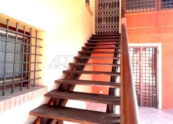 IMG-20260213-WA0010.jpg - Ristorante Via Riccardo Riporti 8, Piazzola sul Brenta - foto 6