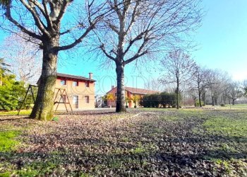 IMG-20260213-WA0022.jpg - Ristorante Via Riccardo Riporti 8, Piazzola sul Brenta - foto 9