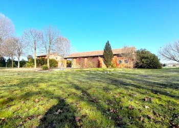 IMG-20260213-WA0038.jpg - Ristorante Via Riccardo Riporti 8, Piazzola sul Brenta - foto 17