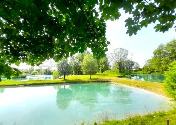 IMG-20260428-WA0009.jpg - Restaurant Via Riccardo Riporti 8, Piazzola sul Brenta - photo 1