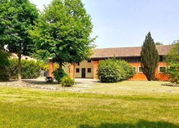 IMG-20260428-WA0004.jpg - Restaurant Via Riccardo Riporti 8, Piazzola sul Brenta - photo 10