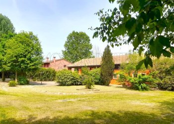 IMG-20260428-WA0006.jpg - Restaurant Via Riccardo Riporti 8, Piazzola sul Brenta - photo 12