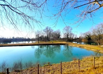 IMG-20260213-WA0031.jpg - Ristorante Via Riccardo Riporti 8, Piazzola sul Brenta - foto 1