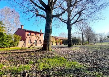 IMG-20260213-WA0026.jpg - Ristorante Via Riccardo Riporti 8, Piazzola sul Brenta - foto 11