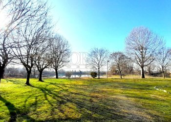 IMG-20260213-WA0037.jpg - Ristorante Via Riccardo Riporti 8, Piazzola sul Brenta - foto 16