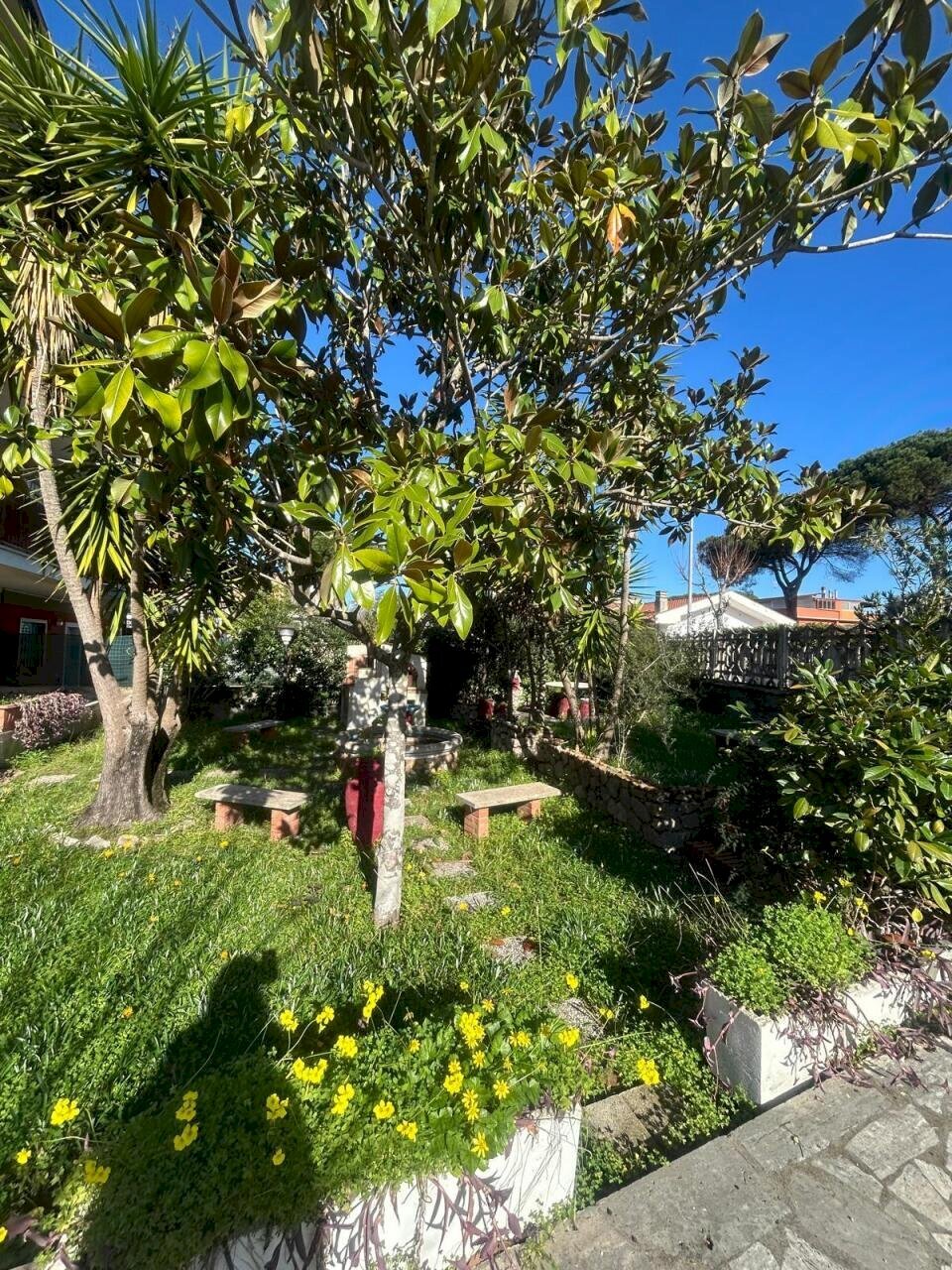 WhatsApp Image 2026-02-19 at 12.39.46.jpeg - Appartamento Lido Mare della Tranquillita 23, Terracina - foto 2