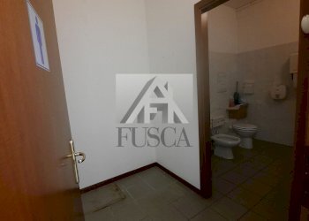 fondo-lucca-affitto_18.jpg - Ufficio Viale G. Puccini, Lucca - foto 17