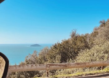 IMG_8341 copia.jpeg - Terreno agricolo Lerici - foto 6