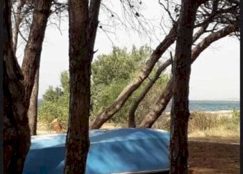 al10.jpg - Quadrilocale Isola di Capo Rizzuto - foto 11