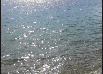 al11.jpg - Quadrilocale Isola di Capo Rizzuto - foto 25