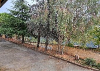 13.jpeg - Three-family Villa Strada Provinciale, Dolceacqua - photo 13