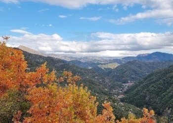 19.jpeg - Three-family Villa Strada Provinciale, Dolceacqua - photo 19