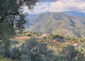 20.jpeg - Three-family Villa Strada Provinciale, Dolceacqua - photo 20