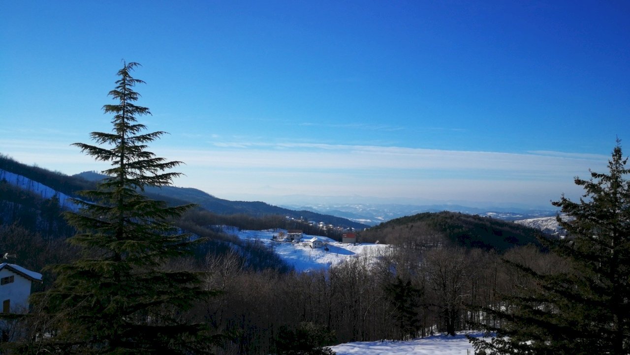 Rif 483 (5).jpg - Quadrilocale Sassello - foto 2