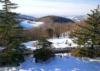 Rif 483 (21).jpg - Quadrilocale Sassello - foto 7