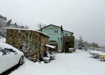 WhatsApp Image 2026-03-06 at 11.13.32 (4).jpeg - Villa all'asta Località Cà Lodola 1, Calice Ligure - foto 15