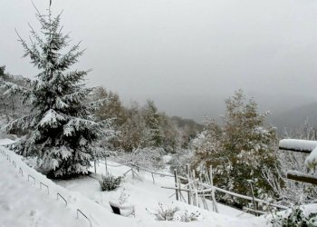 WhatsApp Image 2026-03-06 at 11.13.33 (1).jpeg - Villa all'asta Località Cà Lodola 1, Calice Ligure - foto 18