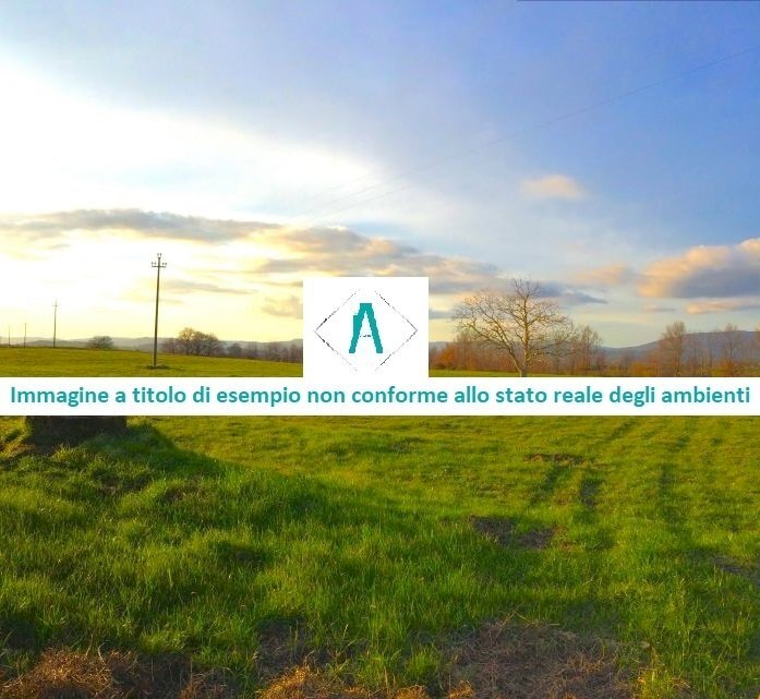 terreno 1 principale.jpg - Building land at auction Strada Provinciale 59 snc, Vallecrosia - photo 3