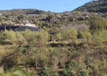 2.jpg - Terreno edificabile all'asta Strada Provinciale 59 snc, Vallecrosia - foto 1