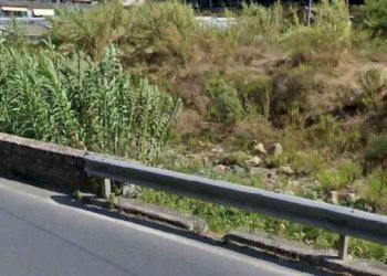 1.jpg - Terreno edificabile all'asta Strada Provinciale 59 snc, Vallecrosia - foto 2