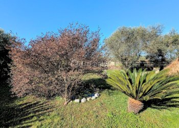 PXL_20260213_092023051~2.jpg - Villa Via Granieri 56, Nettuno - foto 16