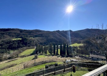 IMG_8066.jpeg - Casale Via della Villa, Cantagallo - foto 16